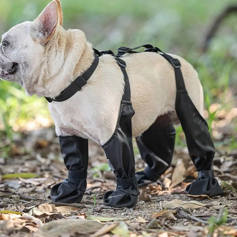 Anti-Slip Dog Shoes